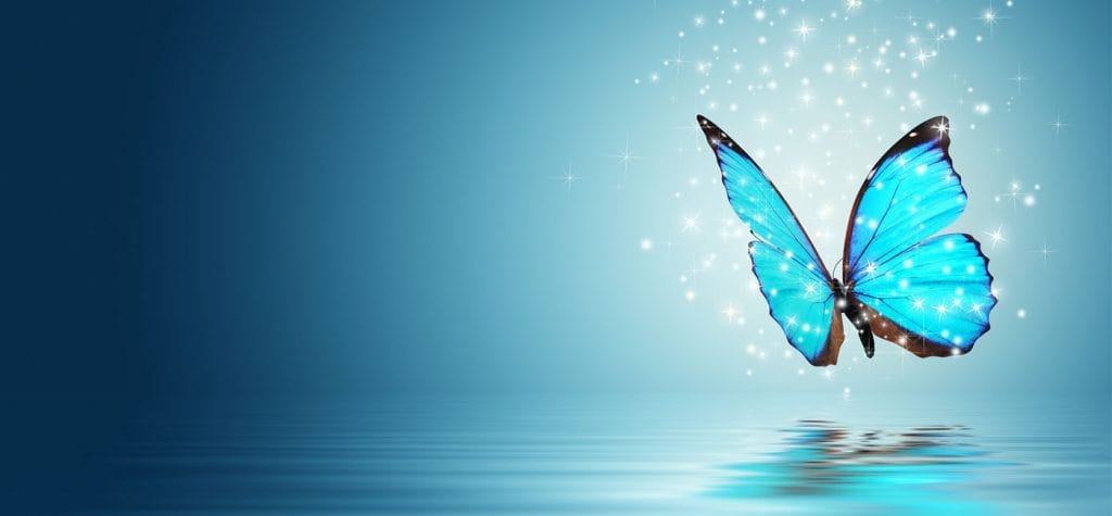 Why We Should All Learn to Embrace Change