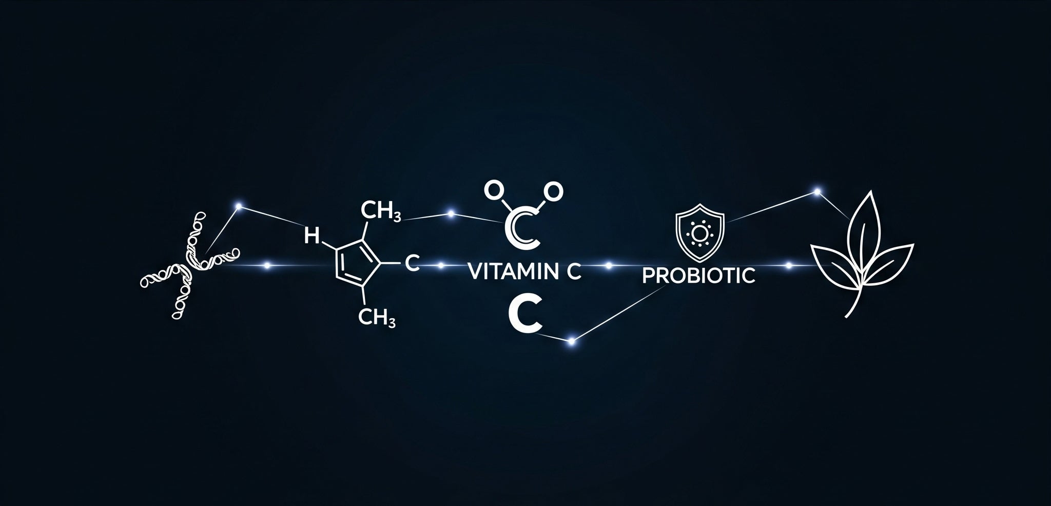 The GLOWBIOTICS Glossary: An A-Z of Our Key Ingredients