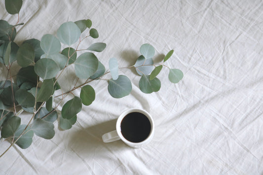 Unveiling the Power of Nature: Eucalyptus Oil, Hyaluronic Acid, and Beta Glucan in Skincare
