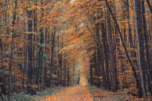 Embracing Hydration: Understanding and Tackling Dry Skin in the Fall