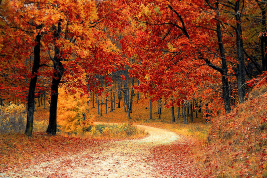 Embracing Autumn Evenings: A Mindful Skincare Journey