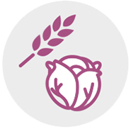 Leaf and sprouting seed icon representing prebiotic nutrients for microbes